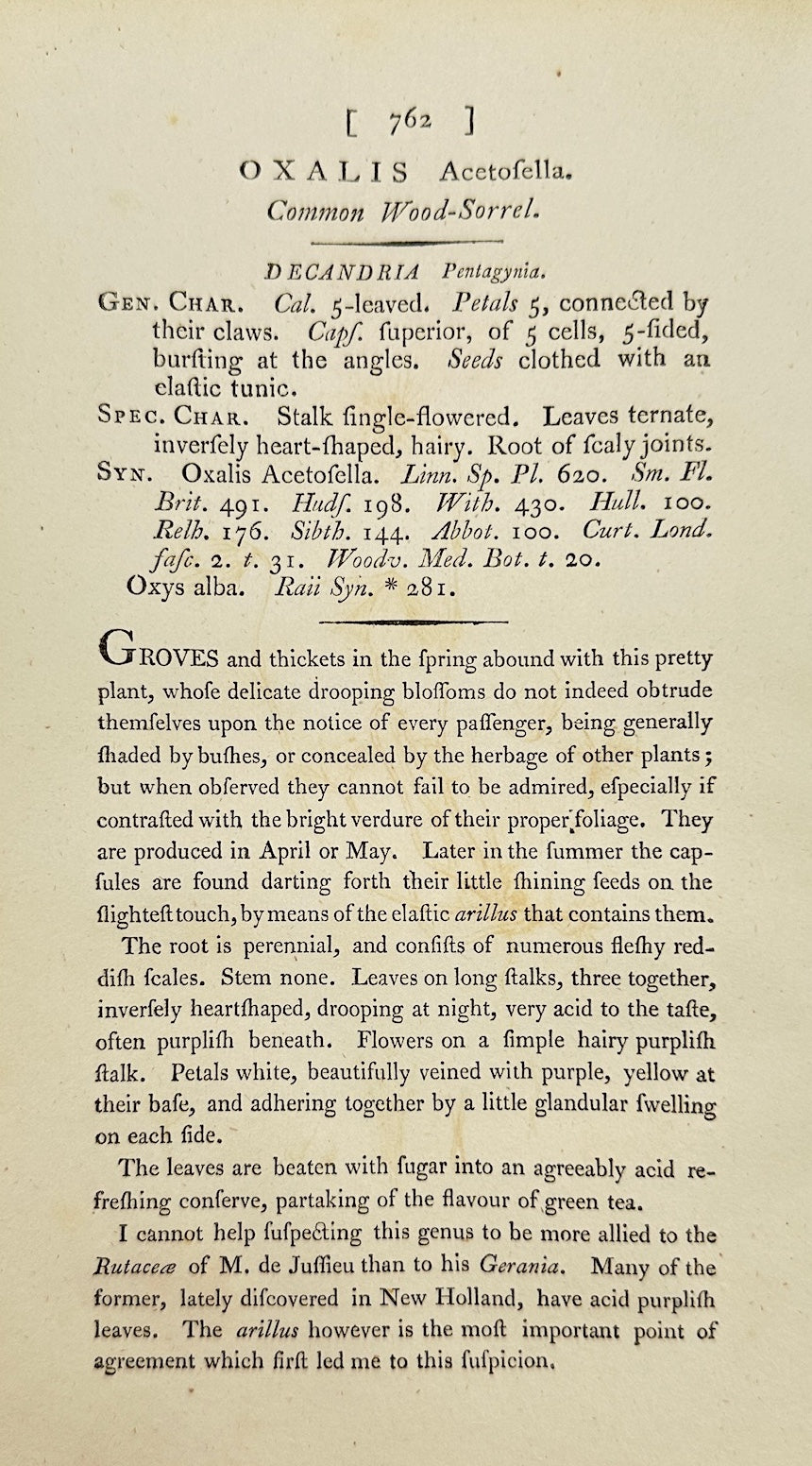 Antique Botanical Print - James Sowerby - Oxalis Acetosella - Wood Sorrel - F1