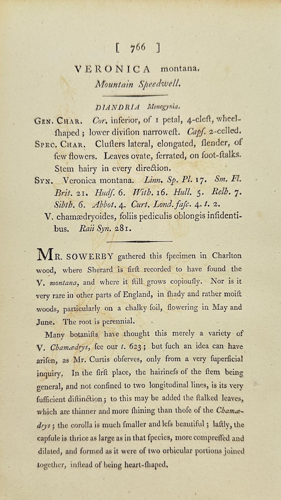 Antique Print - James Sowerby - Veronica Montana - Mountain Speedwell - F1