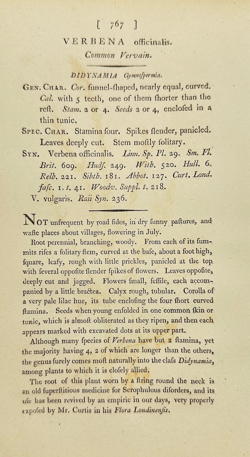 Antique Botanical Print - James Sowerby - Verbena Officinalis - Vervain - F1