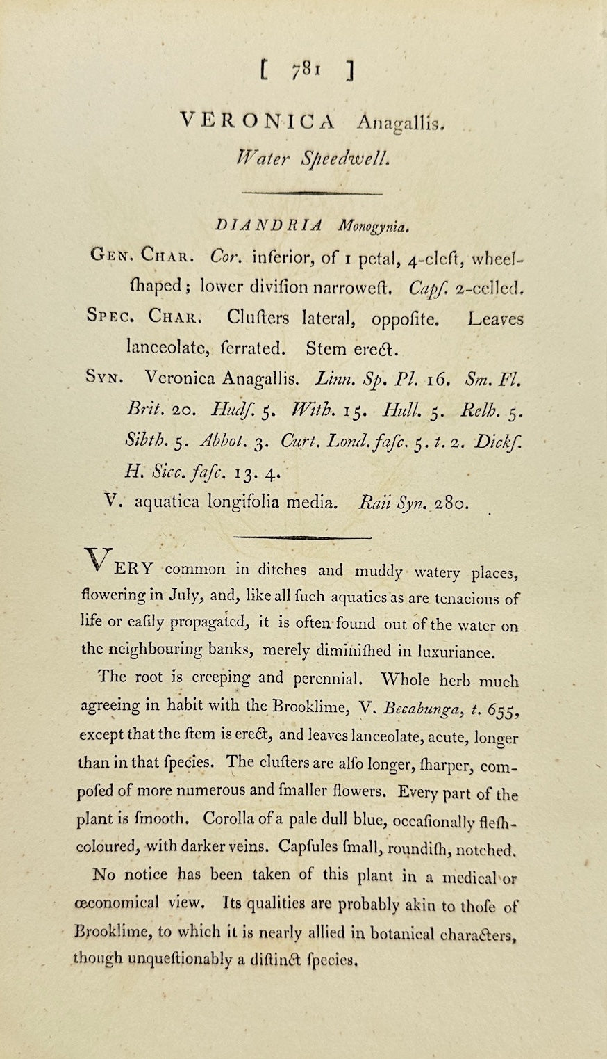 Antique Print - James Sowerby - Veronica Anagallis - Water Speedwell - F1