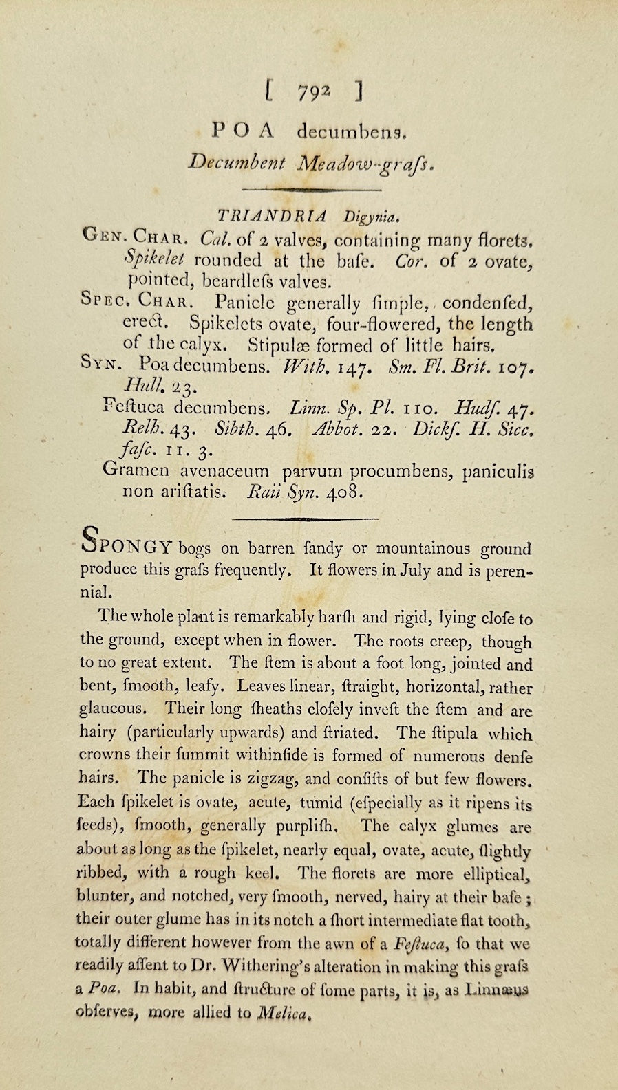 Antique Print - James Sowerby - Poa Decumbens - Decumbent Meadow-grass - F1