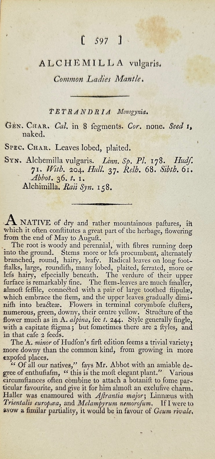 Antique Print - James Sowerby - Alchemilla Vulgaris - Lady's Mantle - F1