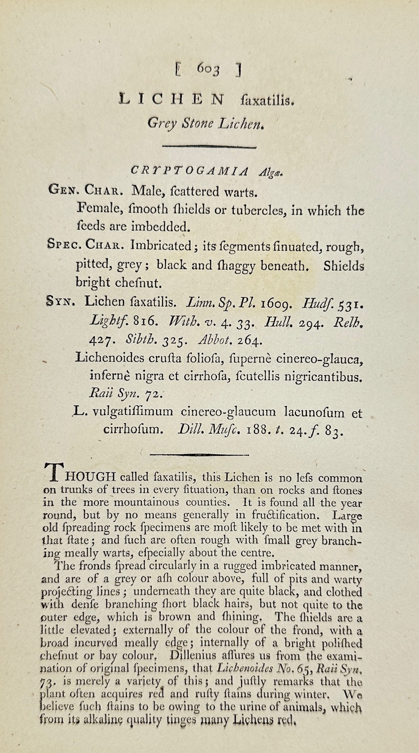 Antique Print - James Sowerby - Lichen Fastigiatus - Fastigiate Lichen - F1