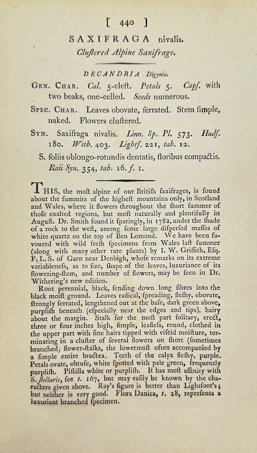 Antique Print - James Sowerby - Saxifraga Nivalis - Snow Saxifrage - F1