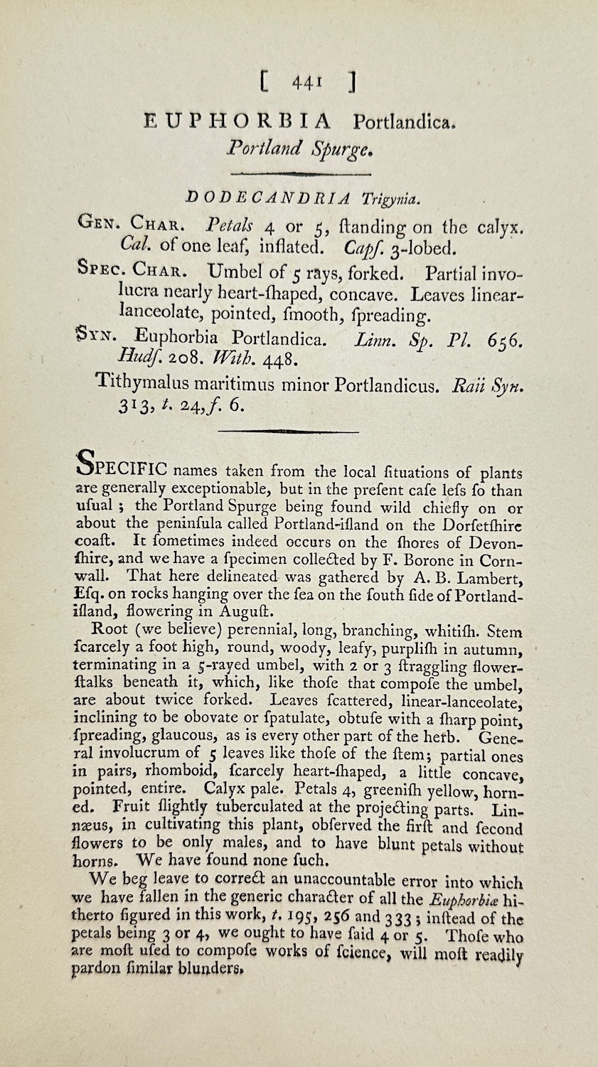 Antique Print - James Sowerby - Euphorbia Portlandica - Portland Spurge - F1