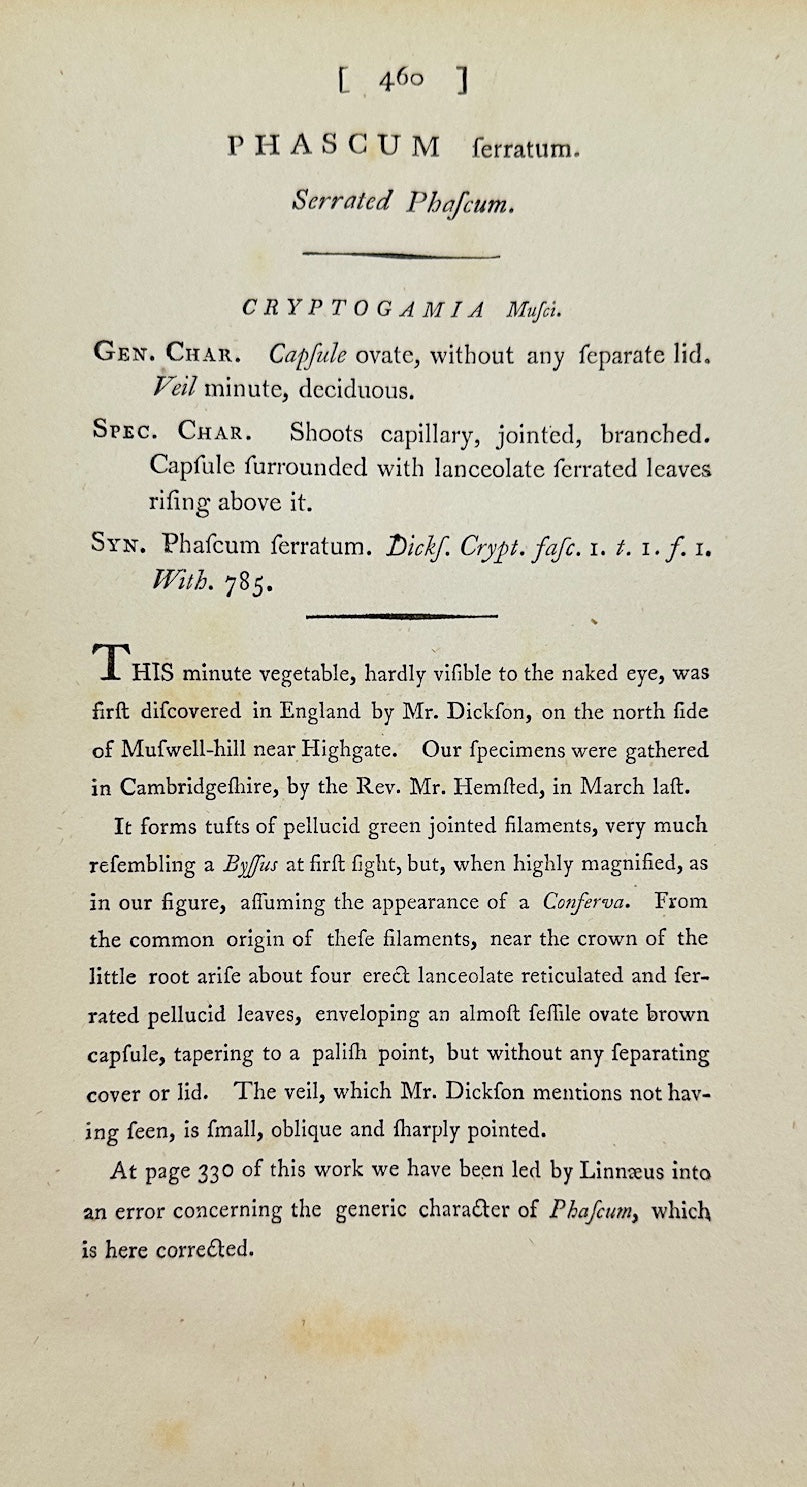 Antique Botanical Print - James Sowerby - Phascum Ferratum - Iron Phascum - F1