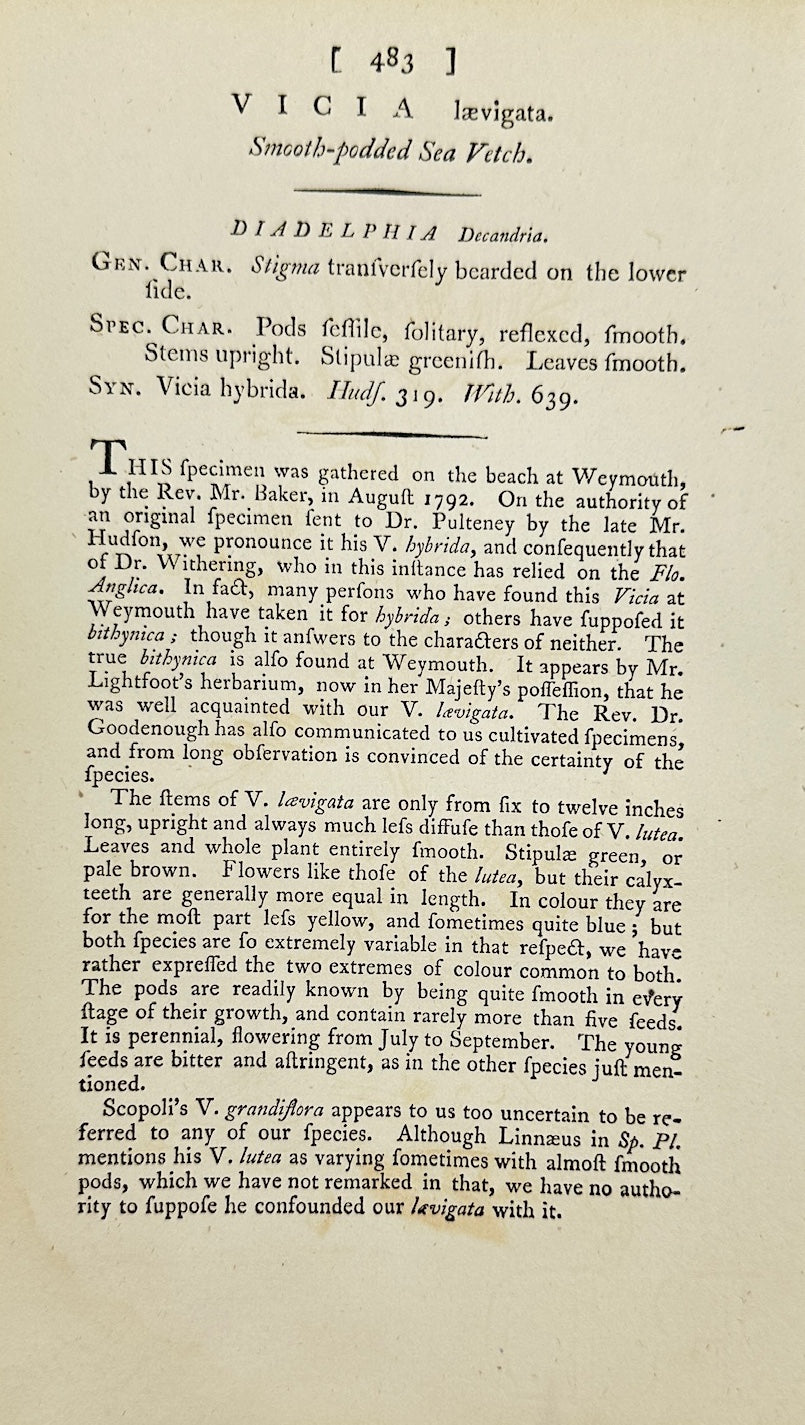 Antique Botanical Print - James Sowerby - Vicia Laevigata - Smooth Vetch - F1
