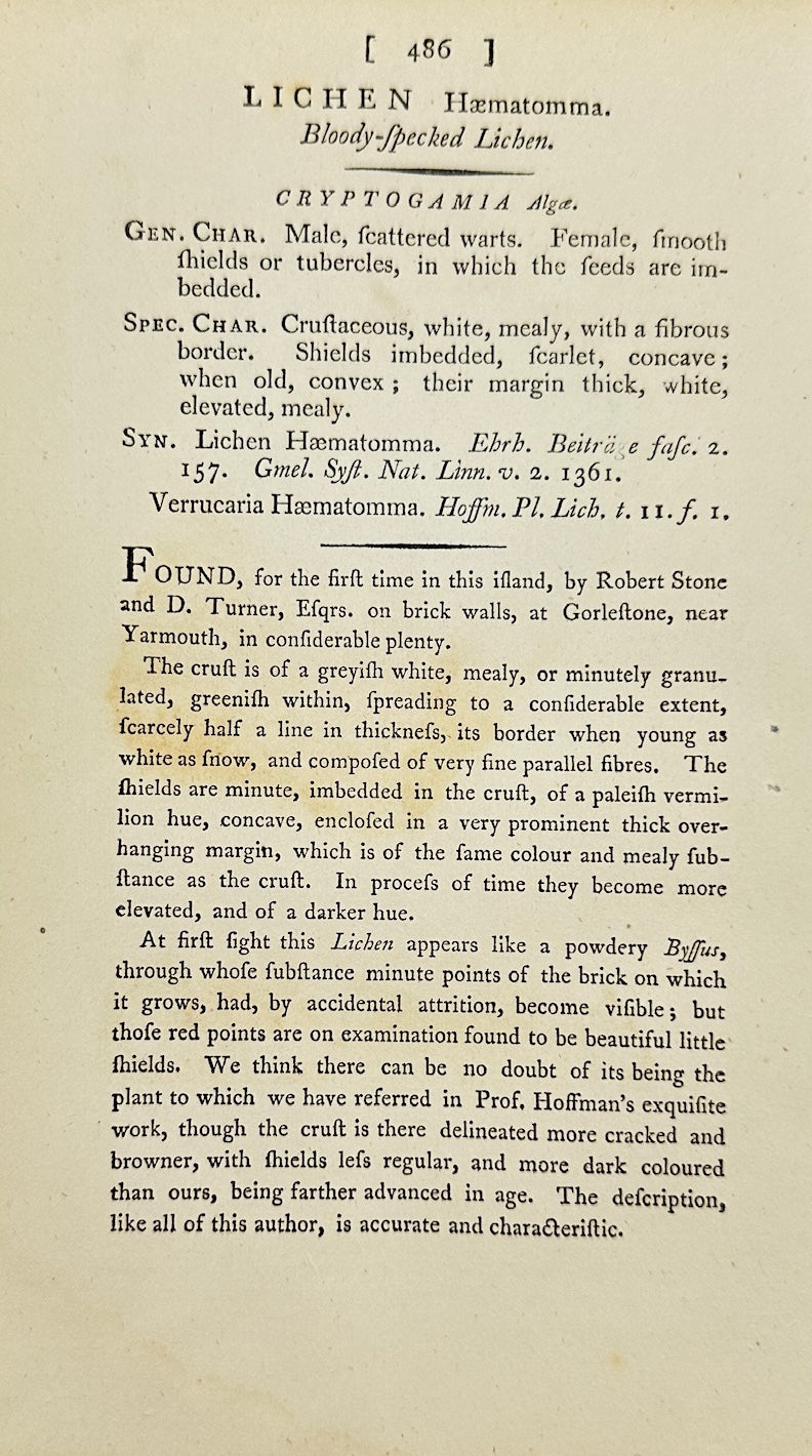 Antique Botanical Print - James Sowerby - Lichen Haematommus - Blood Lichen - F1