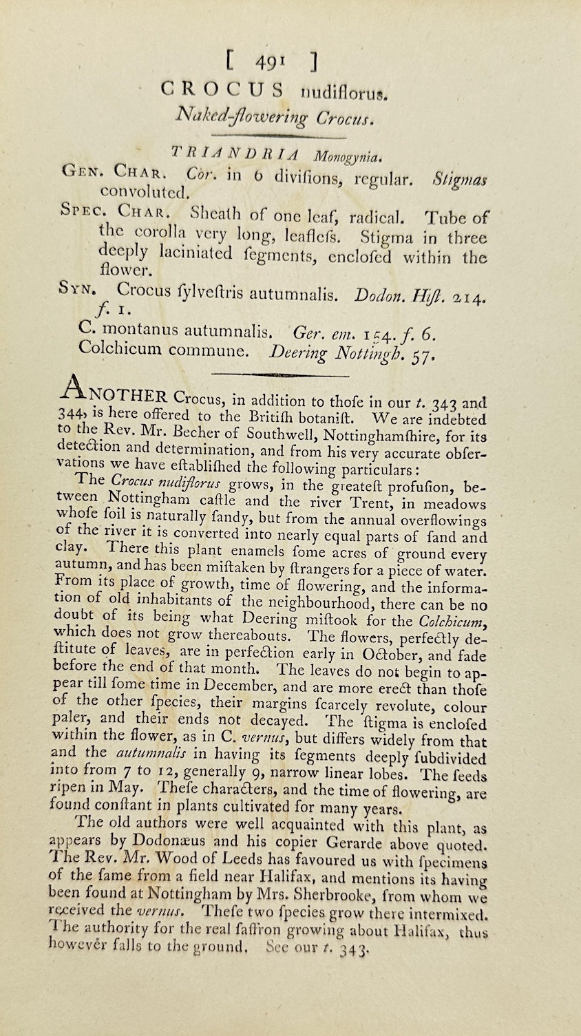 Antique Print - James Sowerby - Crocus Nudiflorus - Naked-flowered Crocus - F1