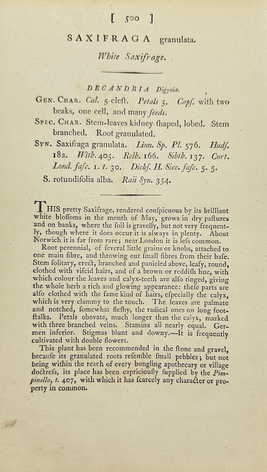 Antique Print - James Sowerby - Saxifraga Granulata - Meadow Saxifrage - F1