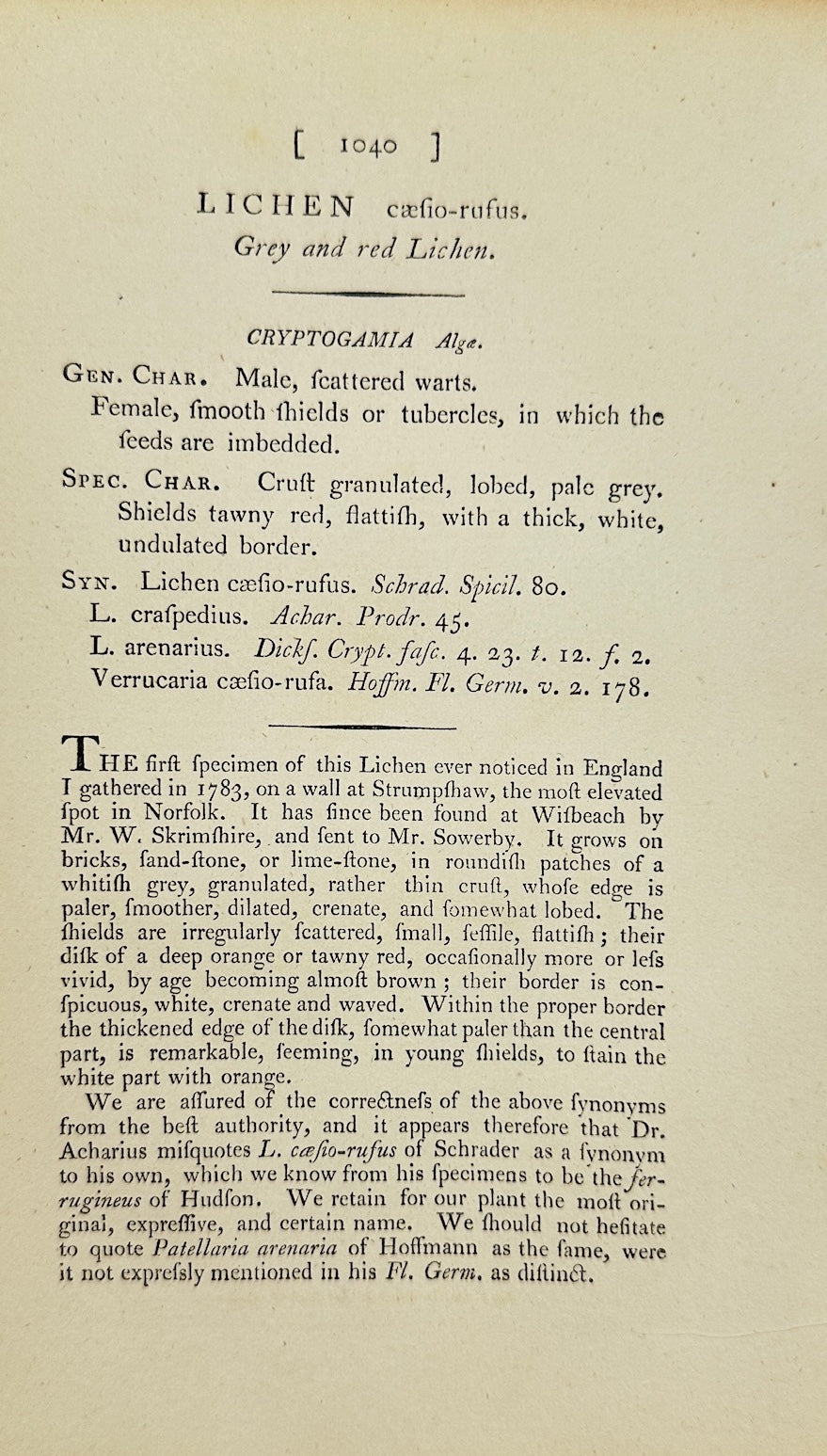 Antique Print - James Sowerby - Lichen Cæfio-rufus - Grey and Red Lichen - F1
