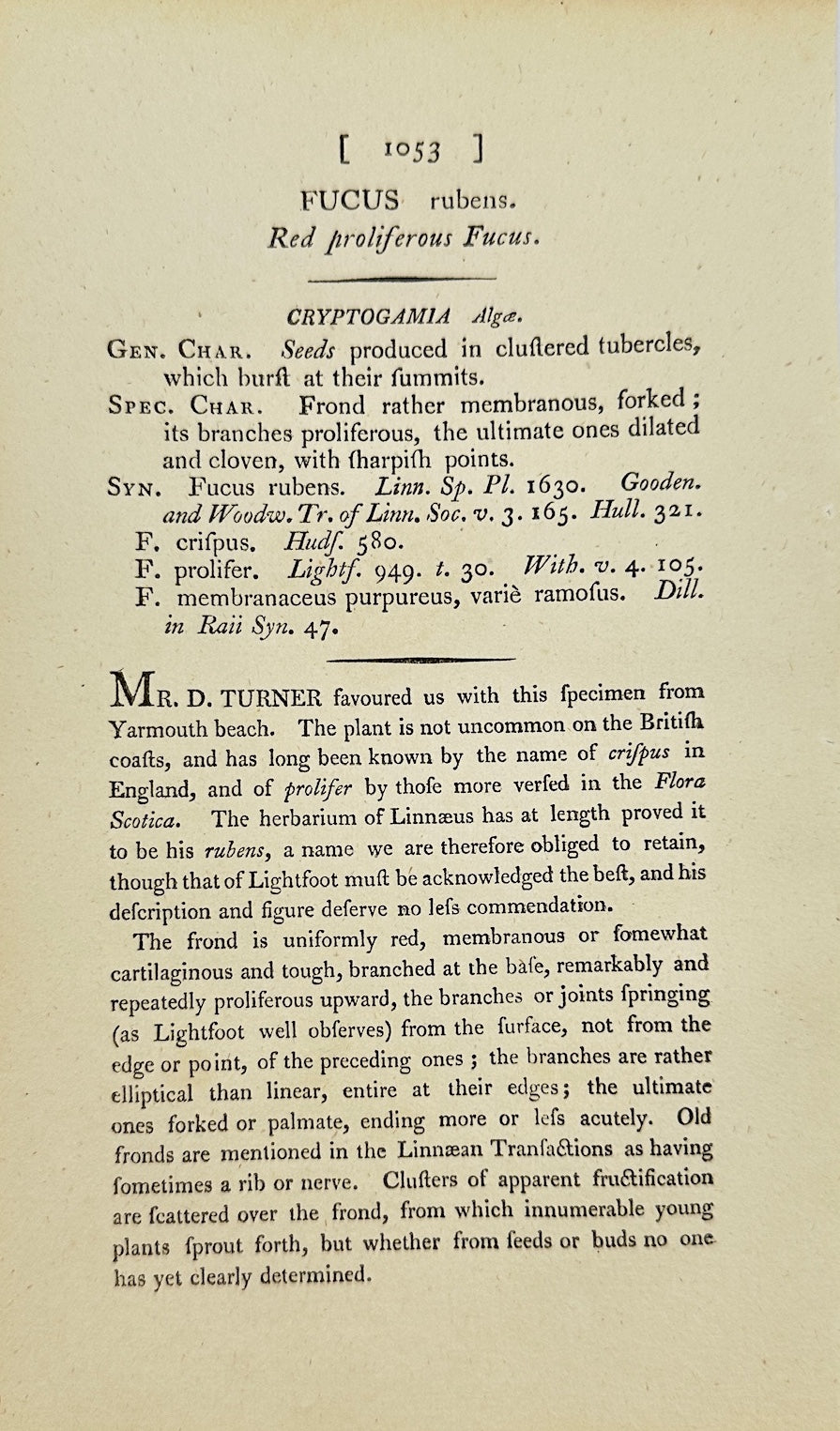 Antique Print - James Sowerby - Fucus Rubens - Red Proliferous Fucus - F1