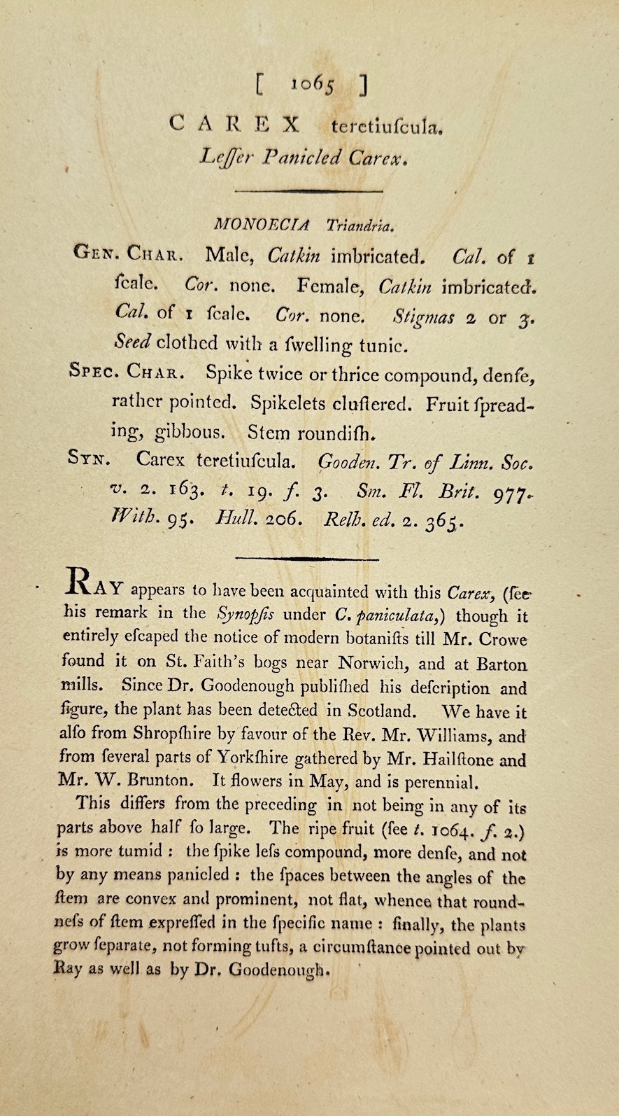 Antique Print - James Sowerby - Carex Teretiufcula - Leffer Panicled Carex - F1