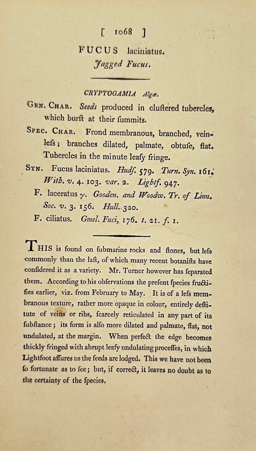Antique Print - James Sowerby - Fucus Laciniatus - Jagged Fucus -  F1