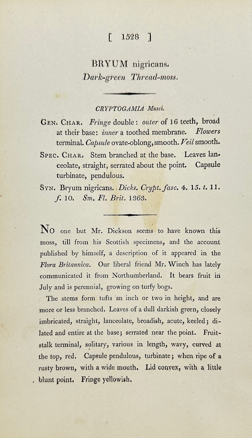 Antique Print - James Sowerby - Bryum Nigricans - Dark-green Thread-moss - F1