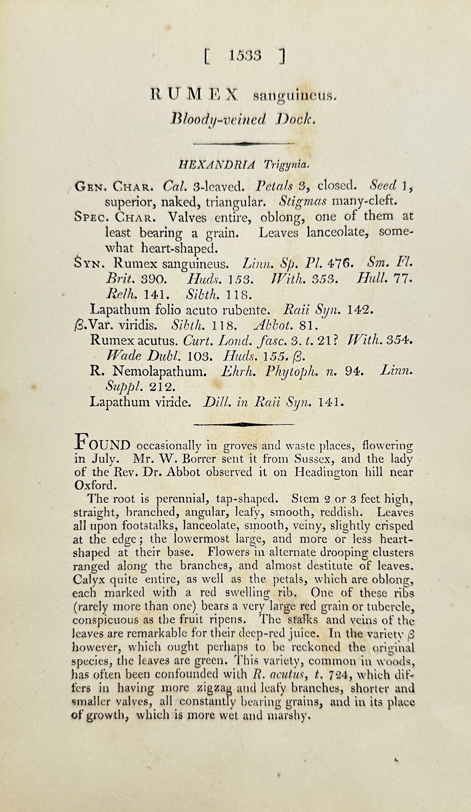 Antique Print - James Sowerby - Rumex Sanguineus - Bloody-veined Dock - F1