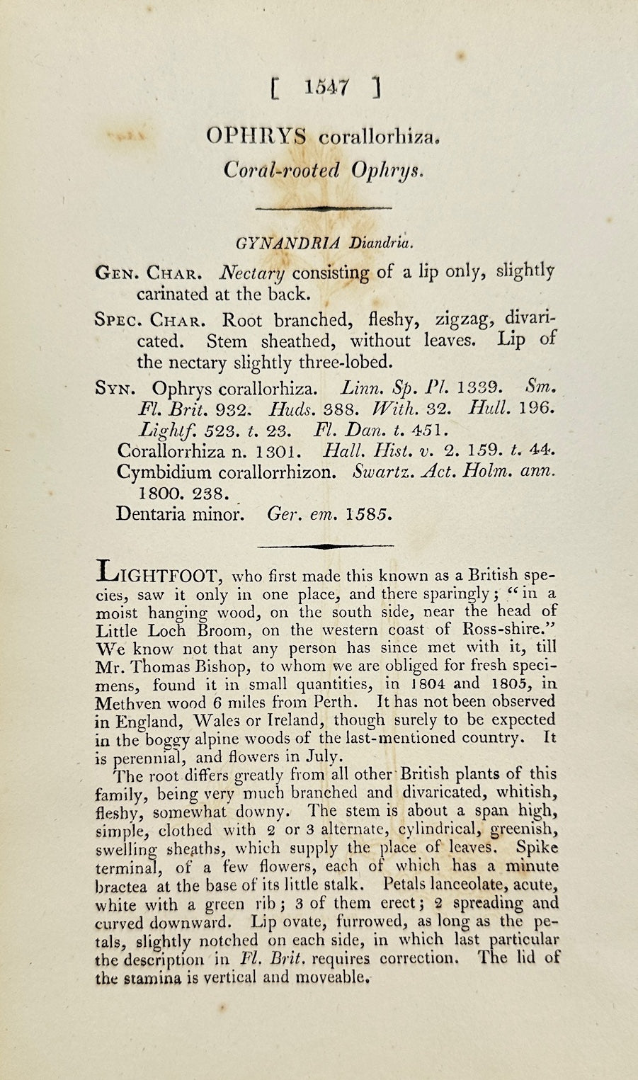 Antique Print - James Sowerby - Ophrys Corallorhiza - Coral-rooted Ophrys - F1