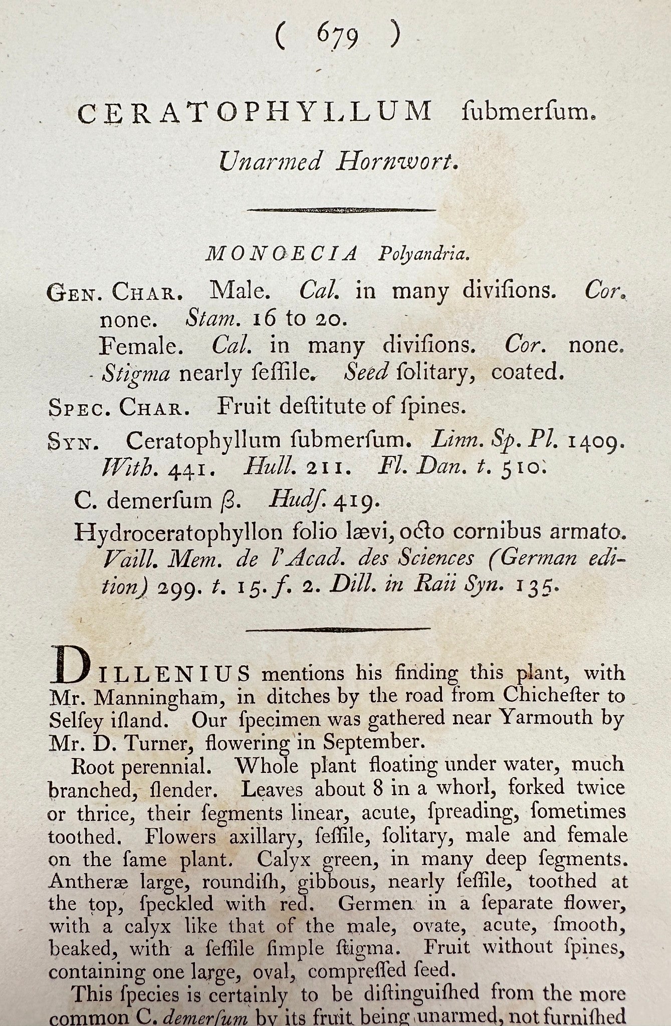 Antique Print - James Sowerby - Ceratophyllum Submersum - Unarmed Hornwort - F1