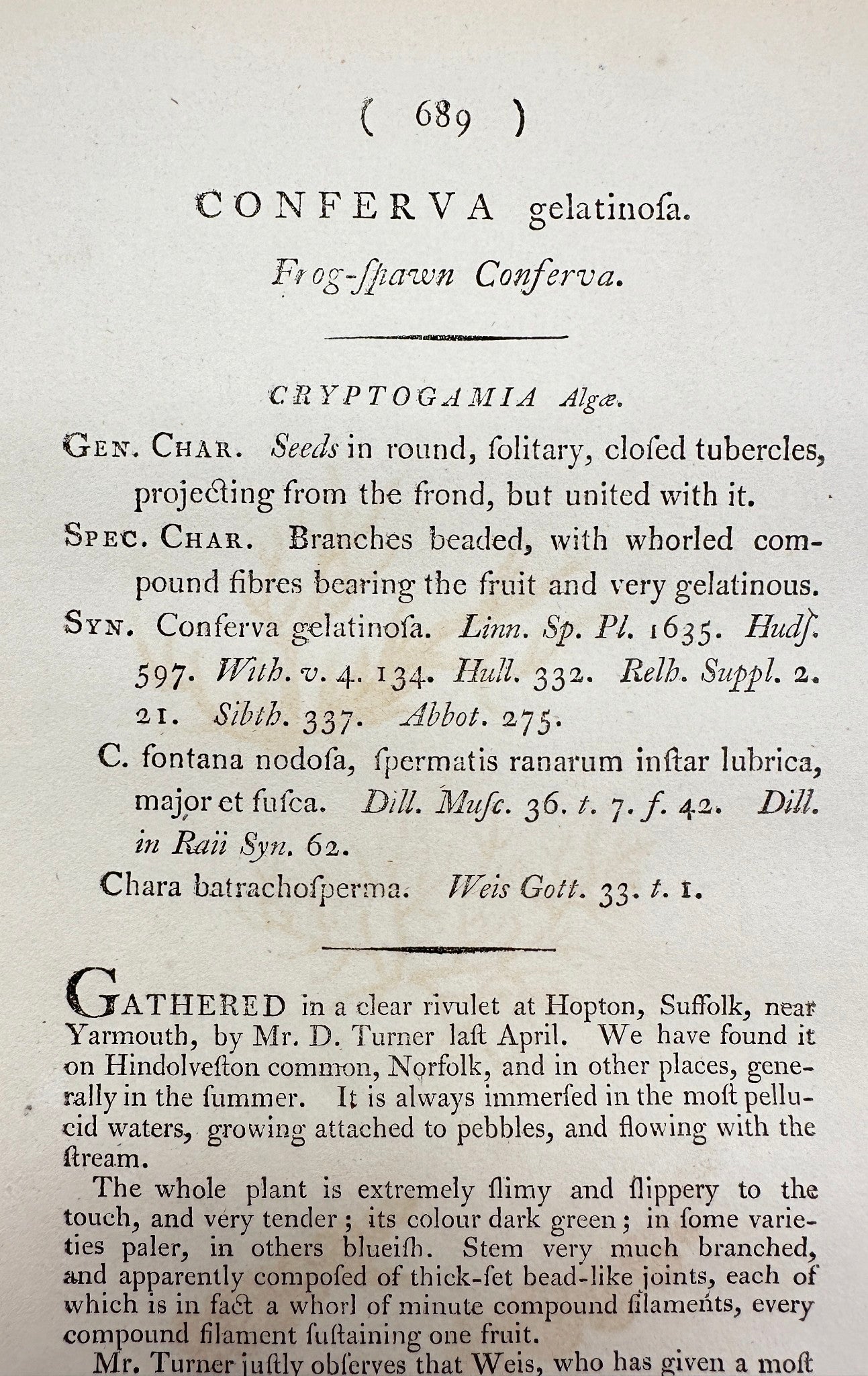 Antique Print - James Sowerby - Conferva Gelatinosa - Frog-Spawn Conferva - F1