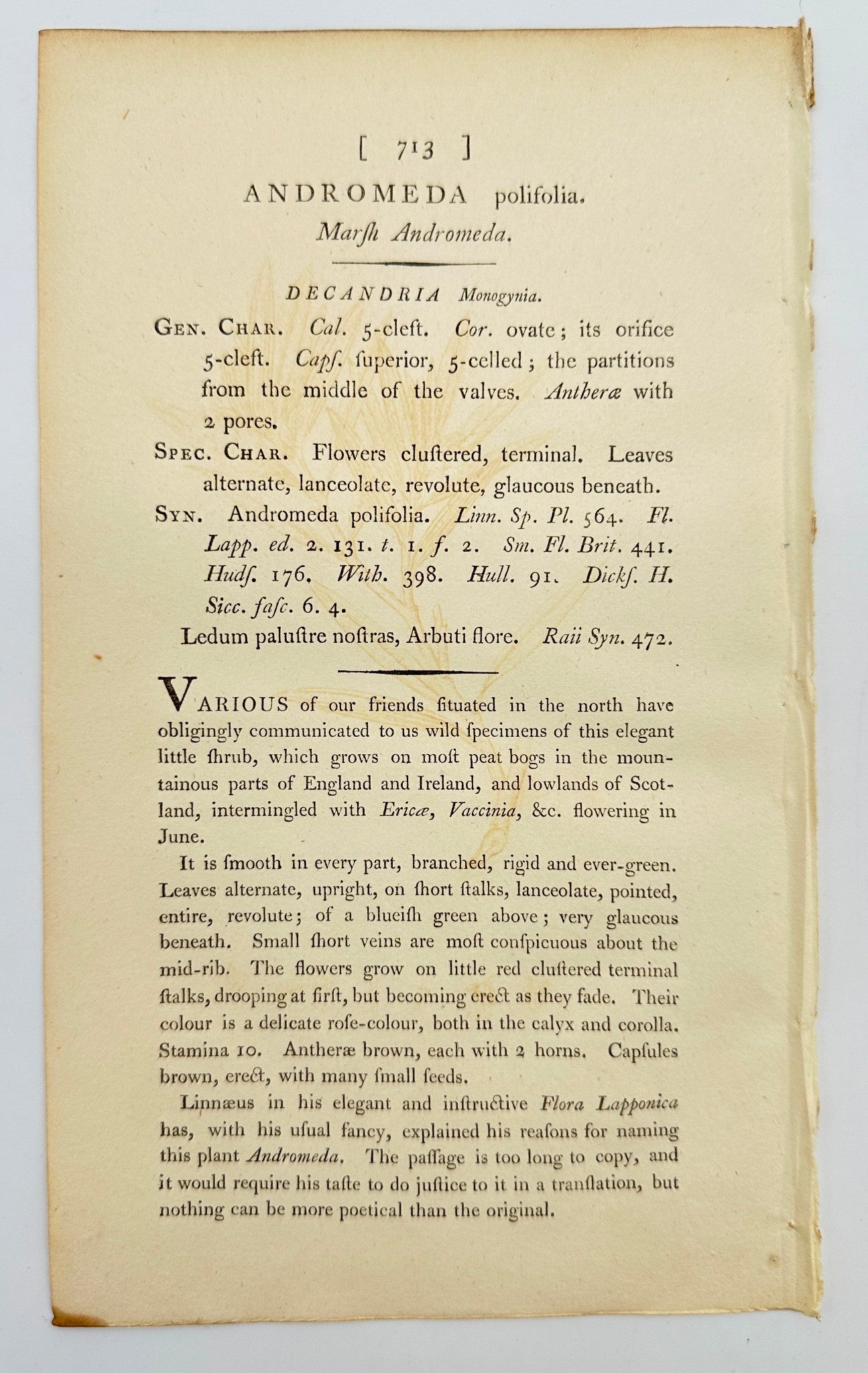 Antique Print - James Sowerby - Andromeda Polifolia - Marsh Andromeda - F1