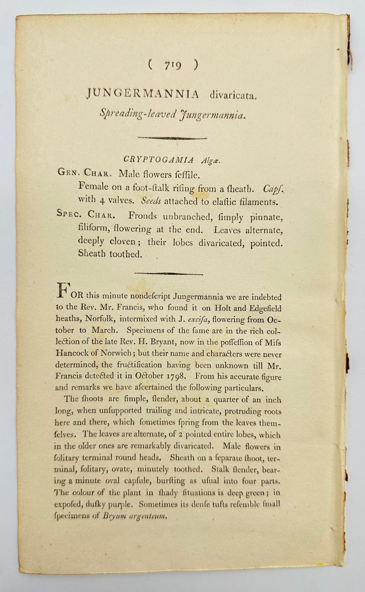 Antique Print - James Sowerby - Jungermannia Divaricata - Spreading-leaved - F1