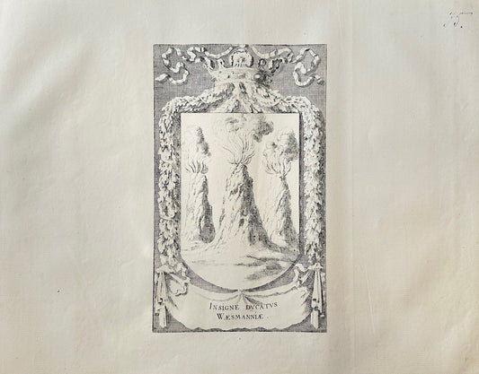 Antique Topographical - Dahlberg - Vastmanland's Coat of Arms - Heraldry - E1