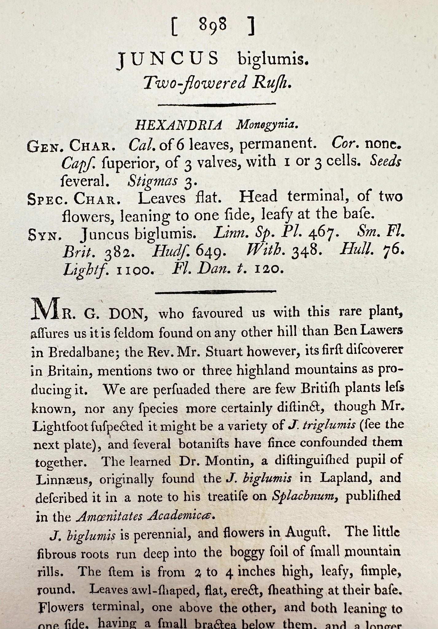 Antique Print - James Sowerby - Juncus Biglumis - Two-flowered Rush - F1