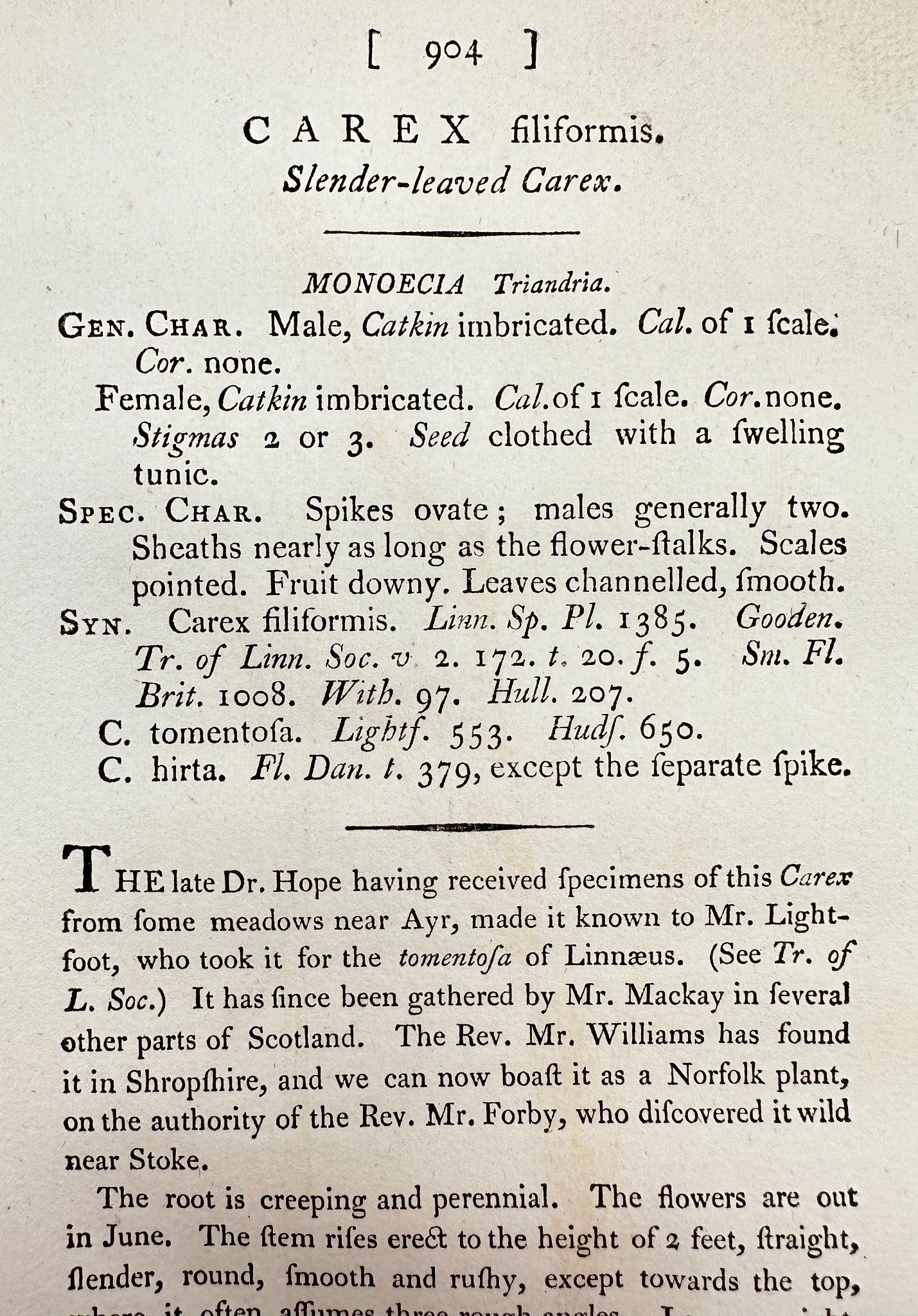 Antique Print - James Sowerby - Carex Filiformis - Slender-leaved Carex - F1