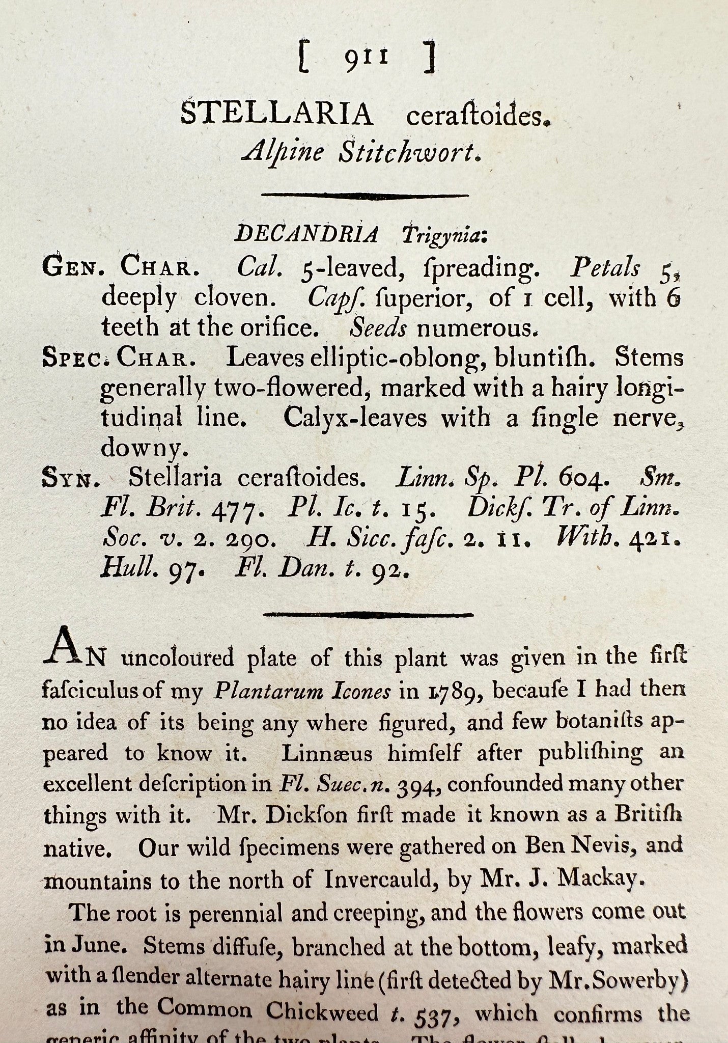 Antique Print - James Sowerby - Stellaria Ceraſtoides - Alpine Stitchwort - F1