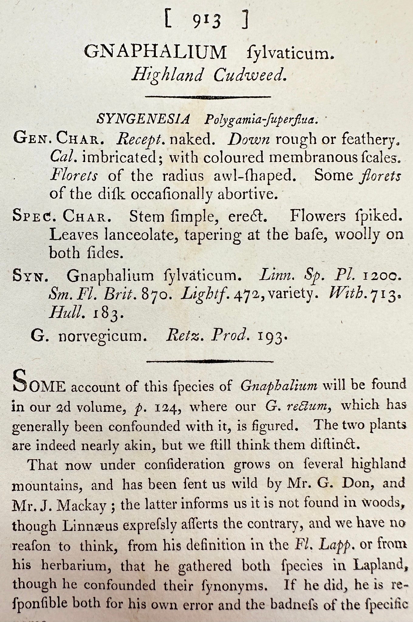 Antique Print - James Sowerby - Gnaphalium Sylvaticum - Highland Cudweed - F1