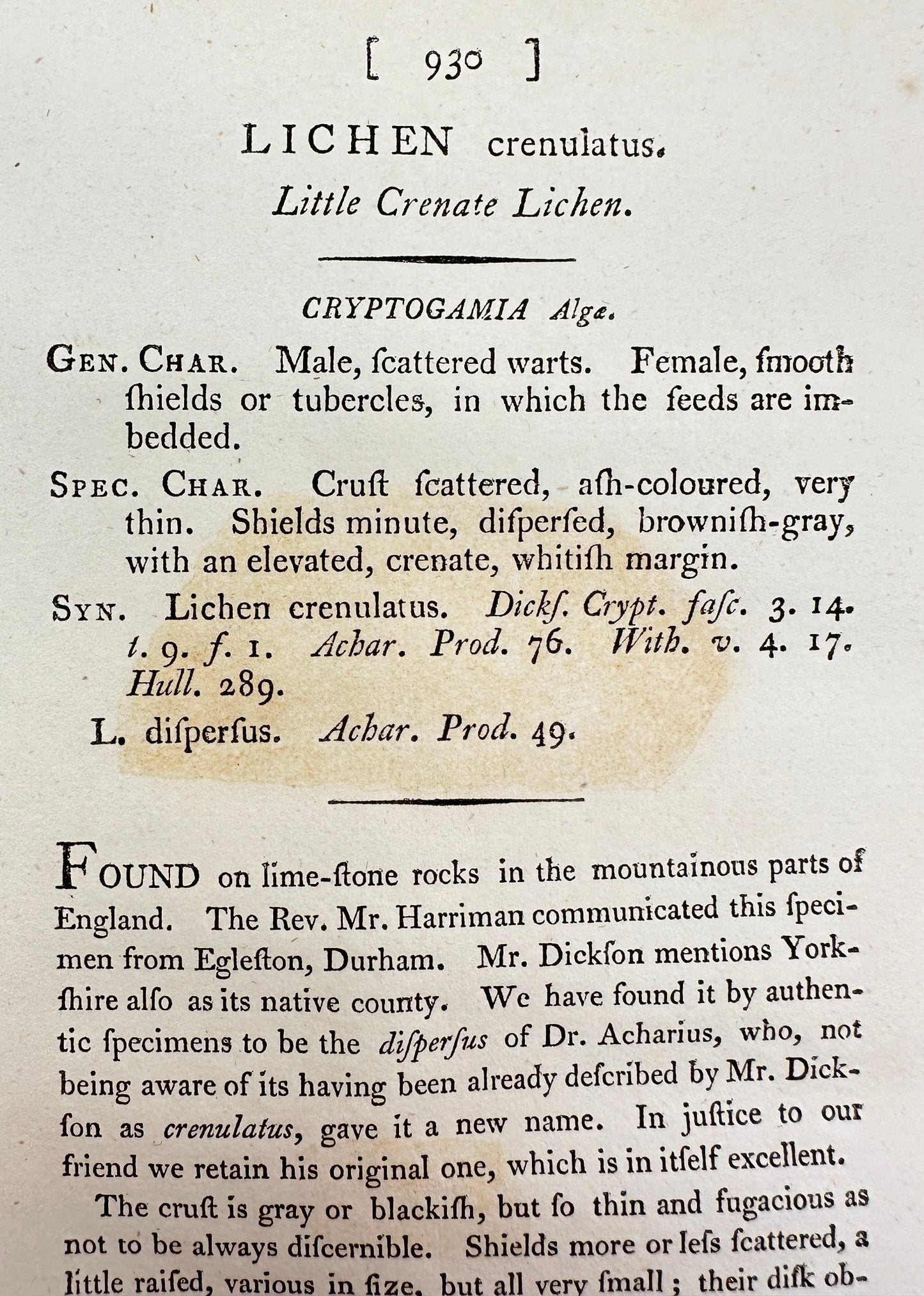 Antique Print - James Sowerby - Lichen Crenulatus - Little Crenate Lichen - F1