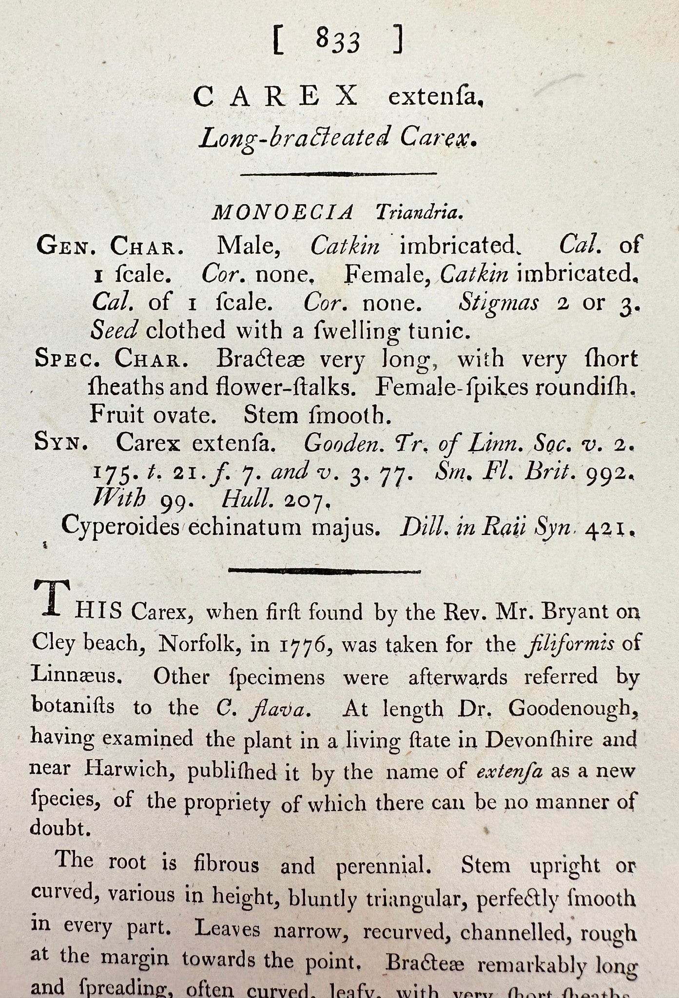 Antique Print - James Sowerby - Carex Extensa - Long-bracteated Carex - F1