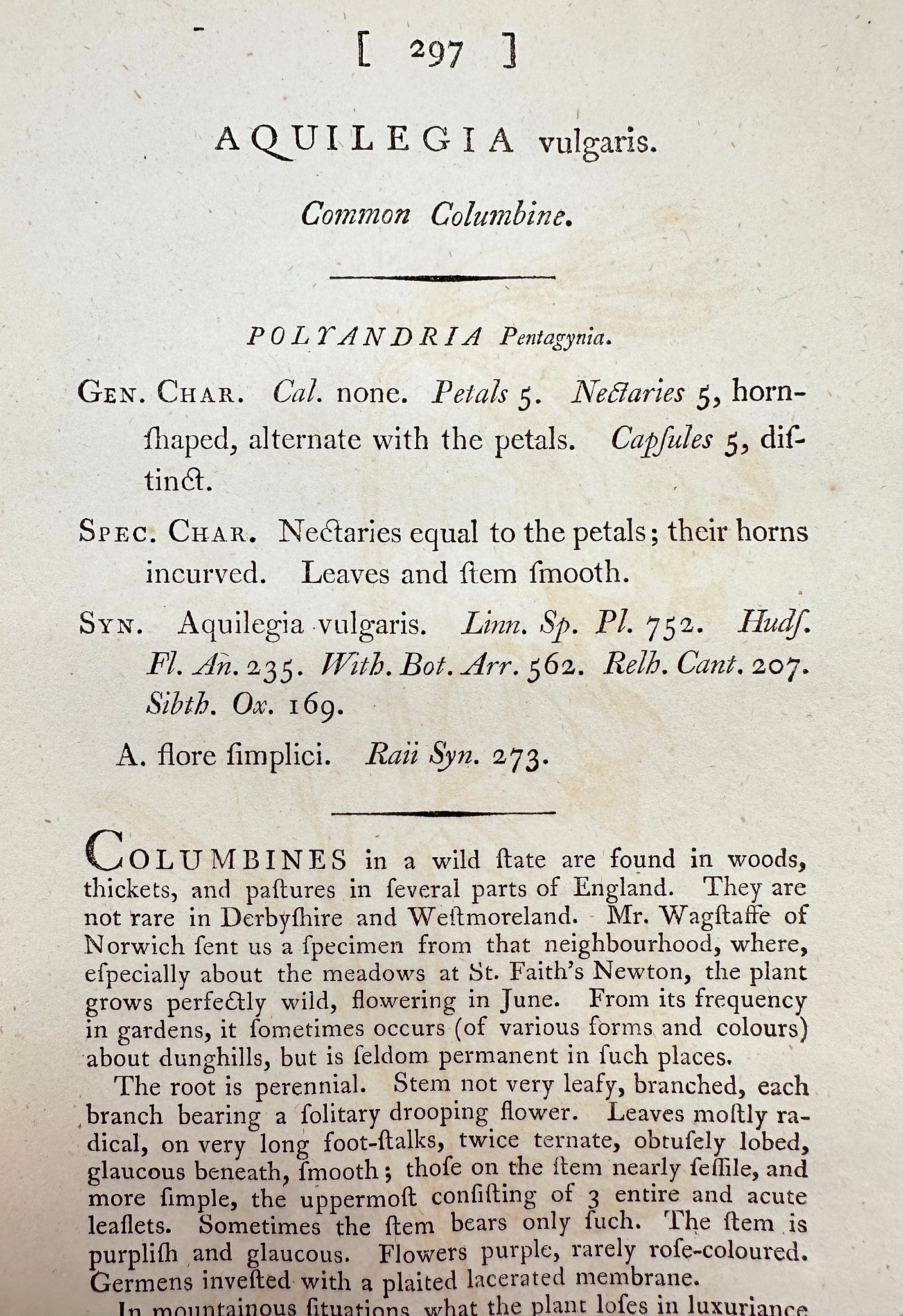 Antique Print - James Sowerby - Aquilegia Vulgaris - Common Columbine - F1