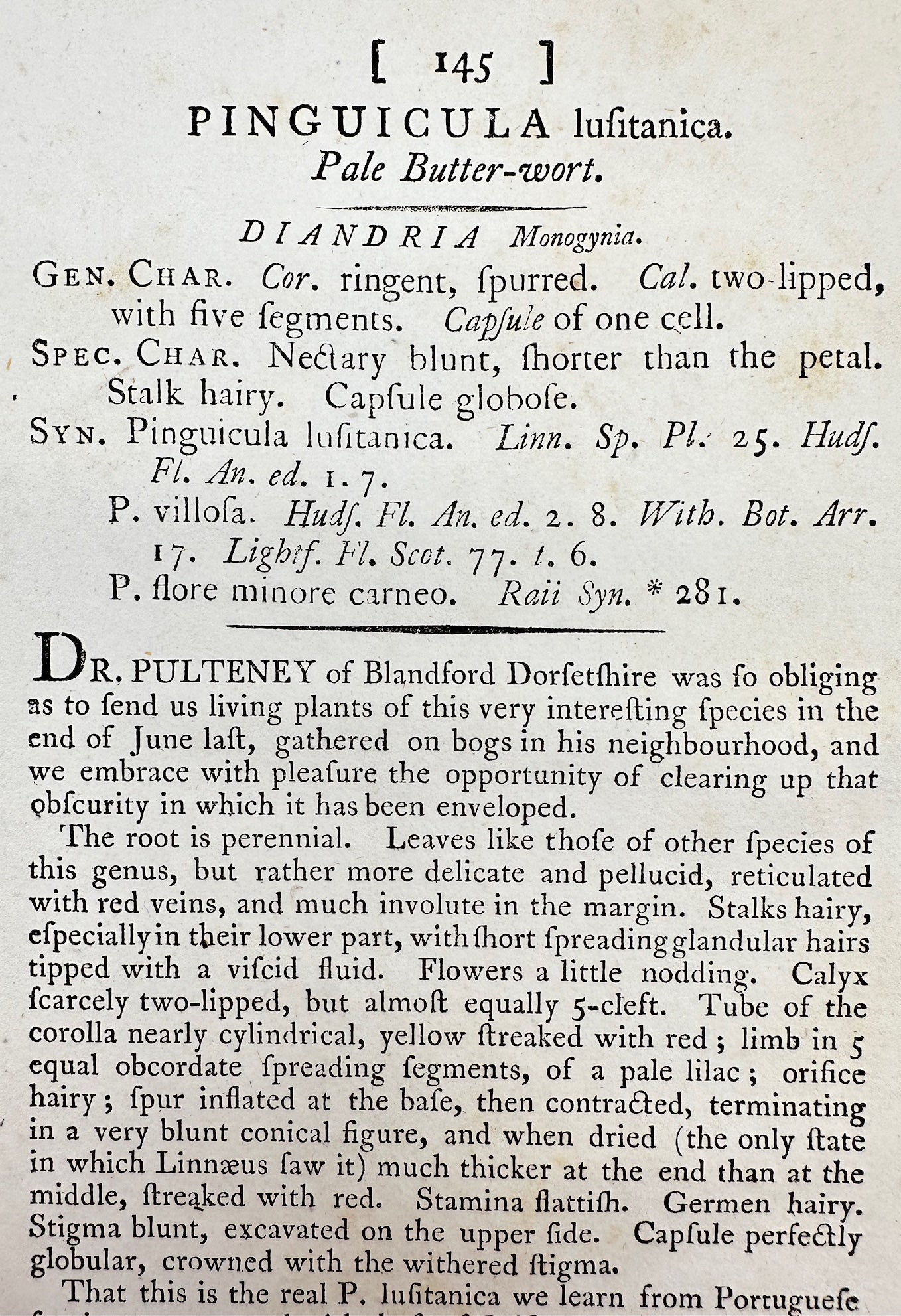 Antique Print - James Sowerby - Pinguicula Lusitanica - Pale Butter-wort - F1