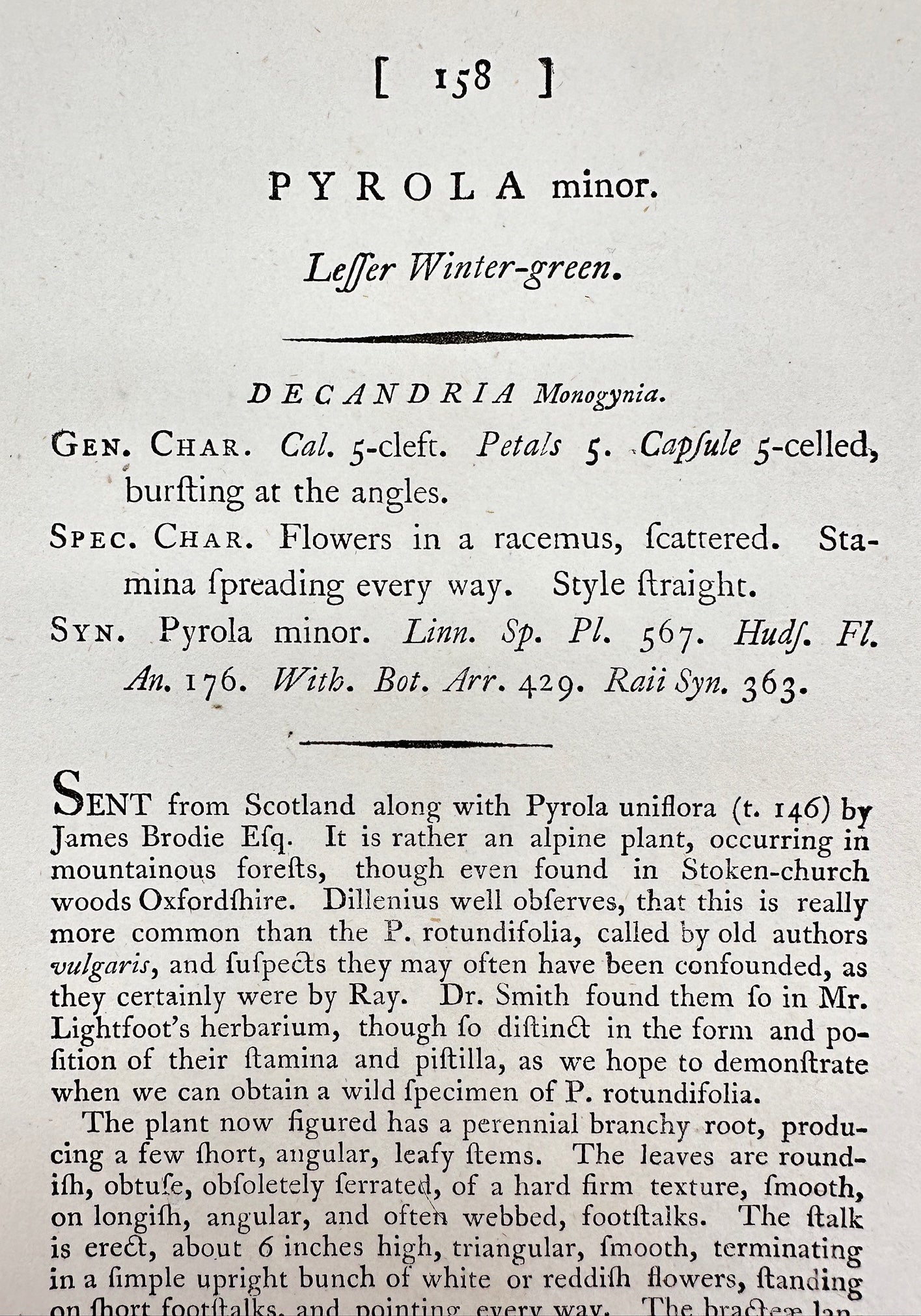 Antique Print - James Sowerby - Pyrola Minor - Leffer Winter-green - F1